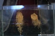 散饵与雾化鱼饵有何不同？这三种饵料用法让你大开眼界