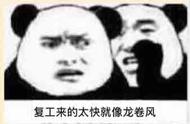 为了享受垂钓乐趣，我被迫成为一名“采花”大盗