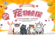 猫咪失踪，这些方法帮你找回爱宠