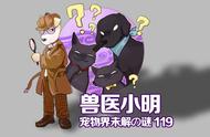 狗狗过世后，如何给予它们最后的尊重？专业宠物安葬服务来解答！