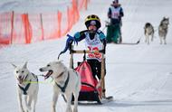 萌娃与雪橇犬在俄罗斯赛场狂飙，冬日运动盛宴不容错过