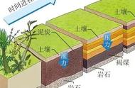 四川乐山的巨型乌木：价值连城，碳化木与木化石的差异解析