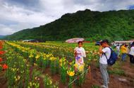 江源区迎来第十二届松花石文化旅游节，文化盛宴等你来参与