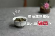 白茶“越陈越香”：真相还是谎言？