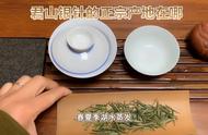 品鉴君山银针：一种独特的茶文化体验