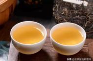 全面总结普洱茶的香气：茶友们的必读之作