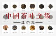 中国红茶大全：探索37款名茶的魅力