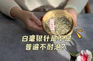 白茶真相揭秘：白毫银针是否耐泡？