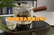 煮老白茶的秘密：茶水比例、烹饪技巧和时间掌握