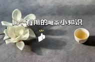 绿茶过期会变成红茶吗？一次性掌握茶叶的10个知识点