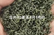 “香茶”系列：绿茶的全新解读