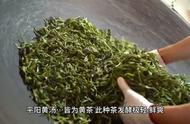 以茶喻人：黄茶的人生哲学