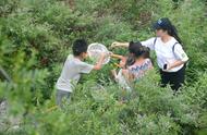 探索花果山村的发展之路：野生动物考察与科普夏令营