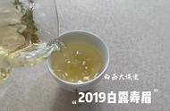 白茶世界探秘：寿眉散茶与饼茶的差异解析