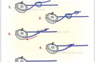 路亚钓鱼鱼线结的打法与选择