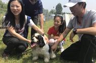 “四眼”成为沪上唯一被领养的退役五星检疫犬，由一对初中教师夫妇收养，为未来的领养活动铺平道路