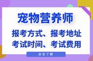 轻松获取：2023年宠物营养师报考详情