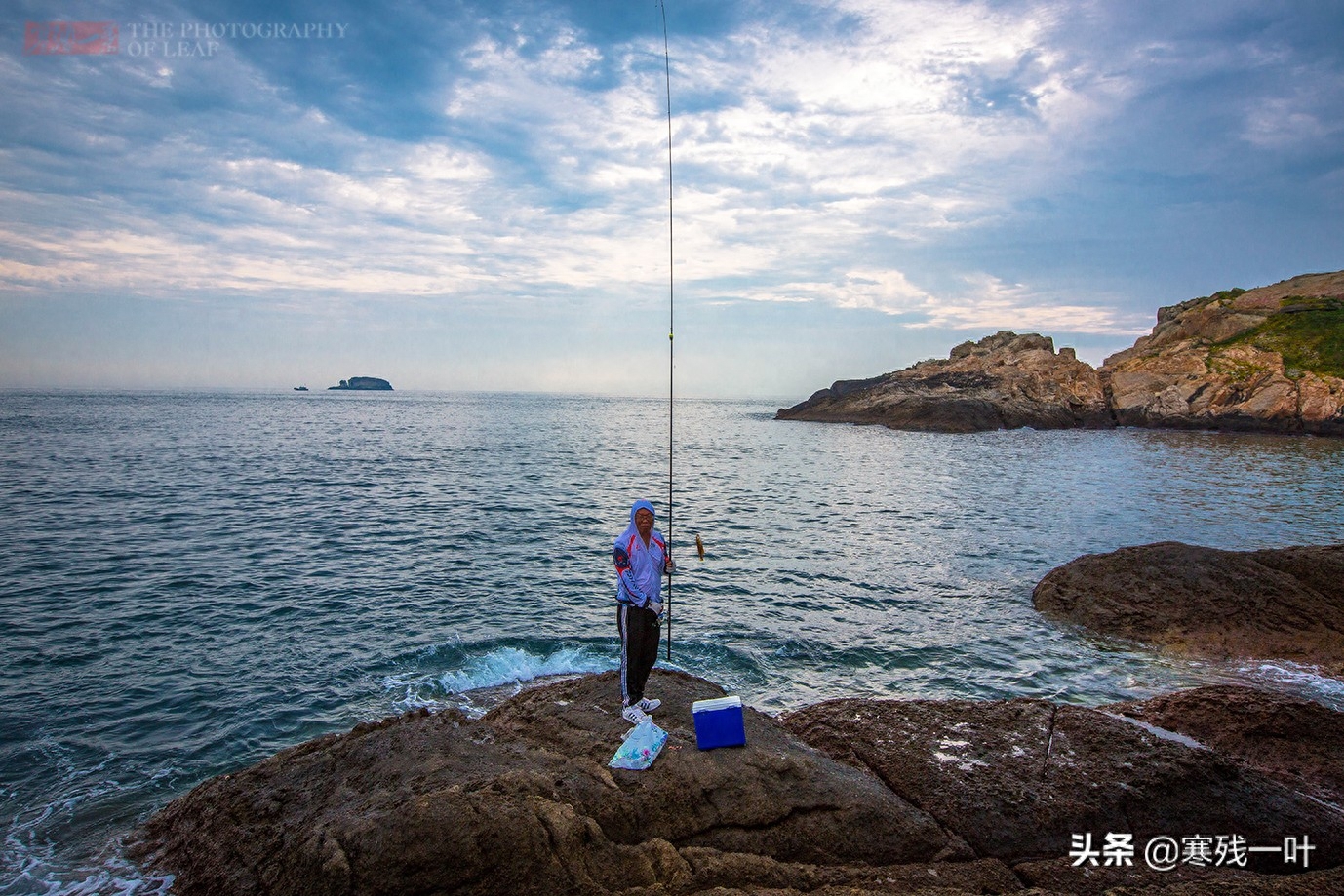 拿着上万块钱的钓鱼装备，花4000块租船海钓，看看都钓到了什么鱼