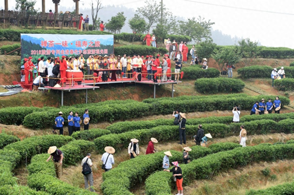 了解茉莉花茶文化 享受福寿健康之旅