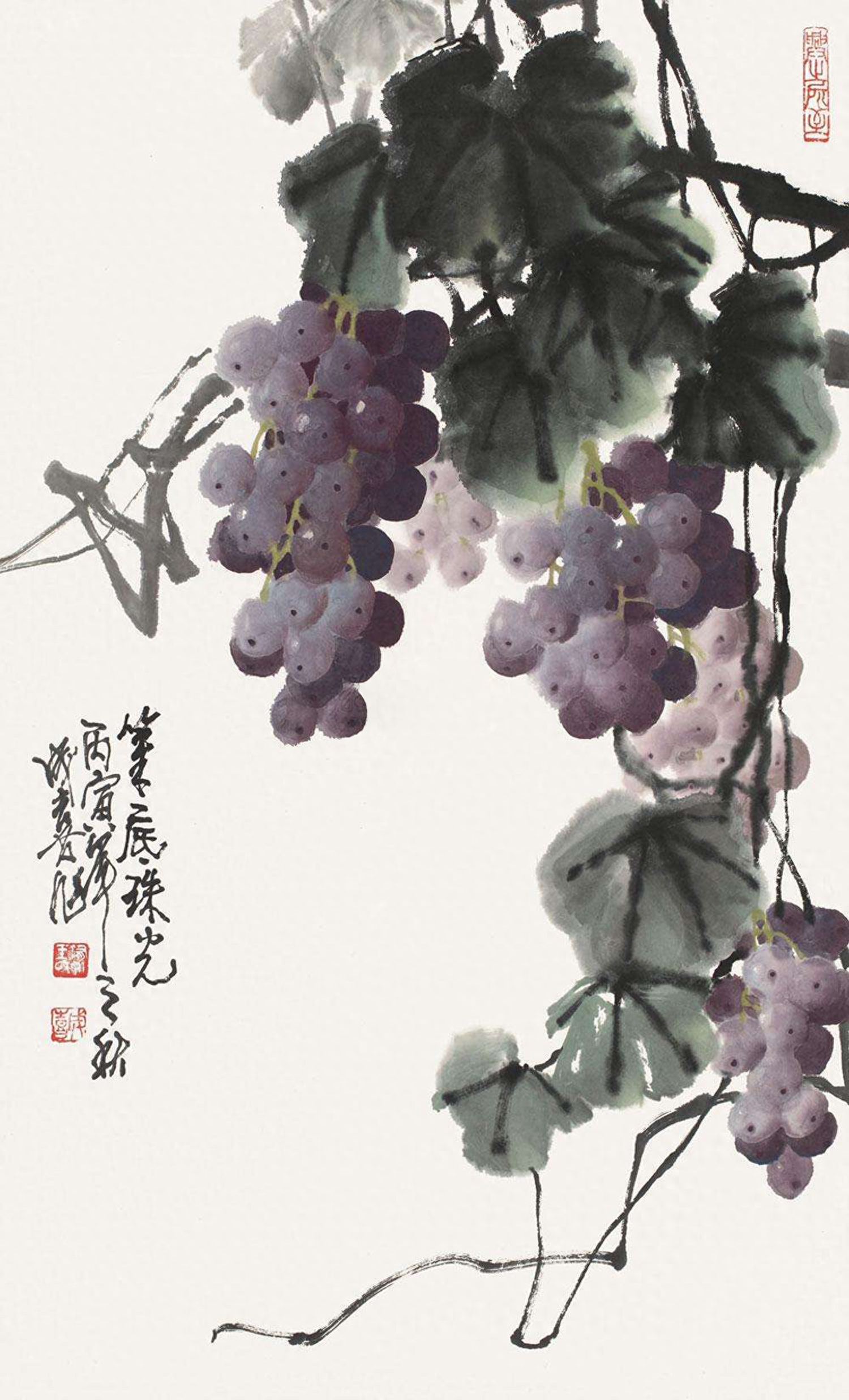 师法自然，晶莹剔透，当代著名国画家王成喜作品精选（二）：葡萄