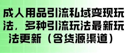 互力·拼多多直通车打法，ocpx&全站打法