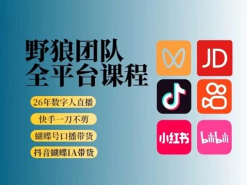 拼多多新手运营从0-100单策划课程，从零起步到爆单详细教程