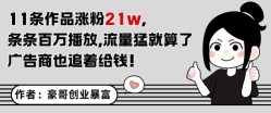 一天收入4000+，靠卖成人用品，小白轻松月入5万【揭秘】