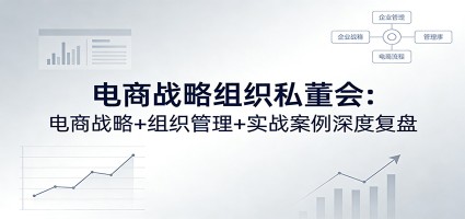 电商战略组织私董会：电商战略+组织管理+实战案例深度复盘