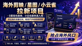 （18567期）海外剪映 / 星图 / 小云雀拉新项目 普通人也能上手的跨境流量变现副业
