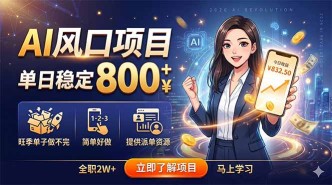 （18691期）AI风口项目，单日稳定800+，旺季单子做不完，简单好做，提供派单资源