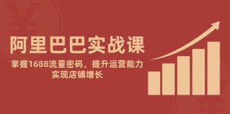 （14830期）阿里巴巴实战课：掌握1688流量密码，提升运营能力，实现店铺增长