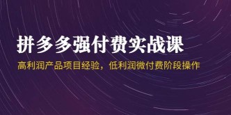 拼多多强付费实战课-44期，高利润产品项目经验，低利润微付费阶段操作