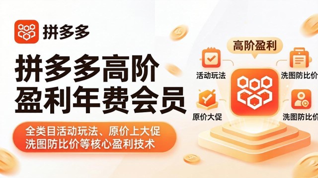 （18063期）拼多多高阶盈利年费会员(更新4月15)：全类目活动玩法、原价上大促、洗图防比价等核心盈利技术
